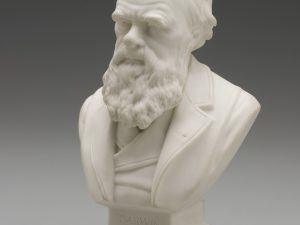 سردیس چارلز داروین