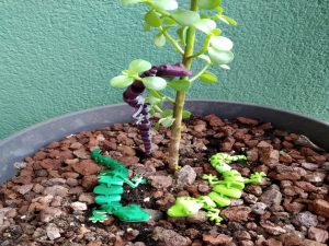 IMG_20191107_144901