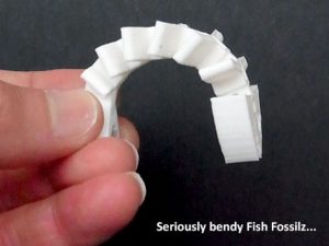 فایل سه بعدی اسکلت ماهی