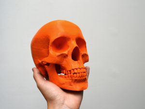 skull_clean_preview_featured